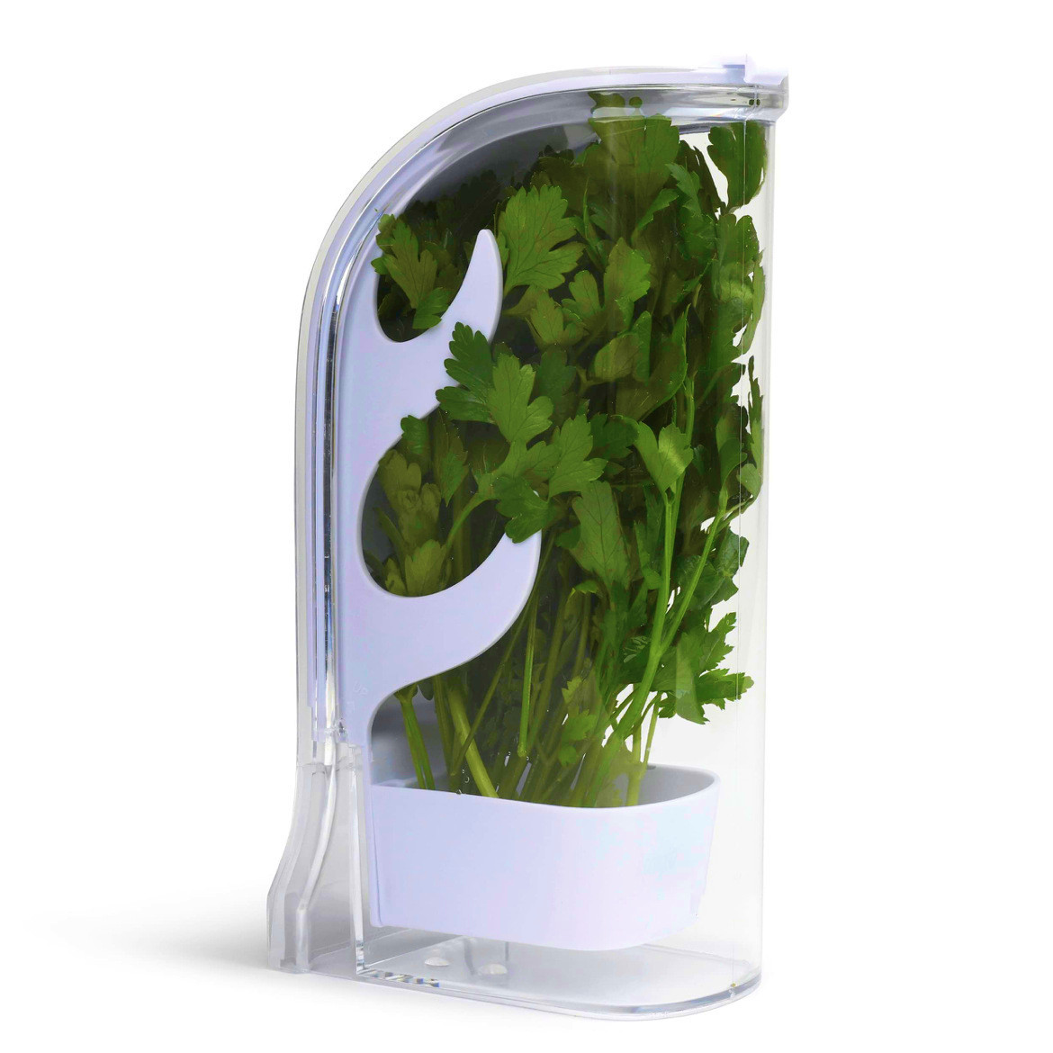 Kitchen Gadgets Modern - Herb Crisper Saver Pojemnik Lodówka Pojemnik