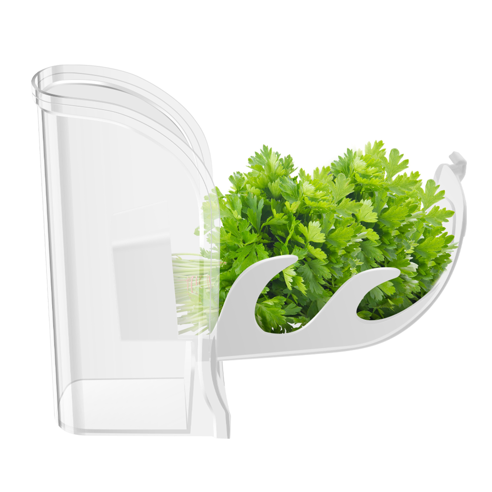 Herb Crisper Saver Pojemnik Lo – Kitchen Gadgets Modern recenzja i cena