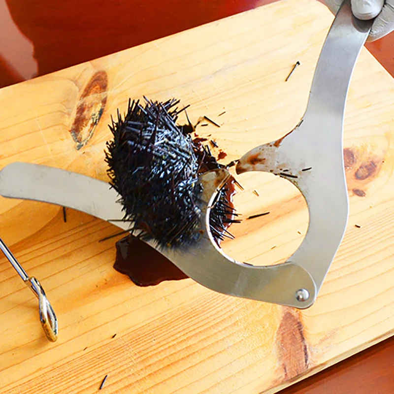 Nożyczki do oczkowania szkarła – Kitchen Gadgets Cutting Tools recenzja i cena