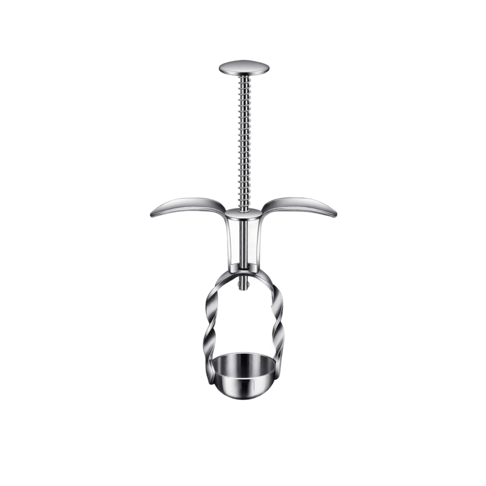 Narzędzie do usuwania pestek z – Cherry Pitter Tool recenzja i cena